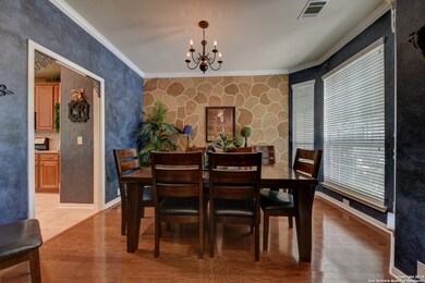 13043 Wild Heart, Helotes, TX 78023 - photo 5