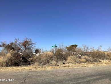 801 E Railroad St, Bowie, AZ 85605 - photo 2