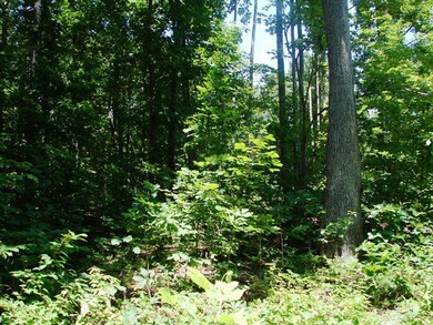 0 Lees Crossing Ln unit 12 38314, Appomattox, VA 24522 - photo 2