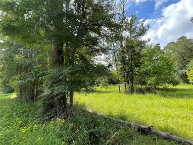 26475 Joseph Rd, Hockley, TX 77447 - photo 6