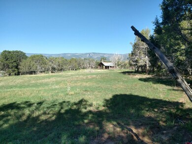 20122 2375 Rd, Cedaredge, CO 81413 - photo 4