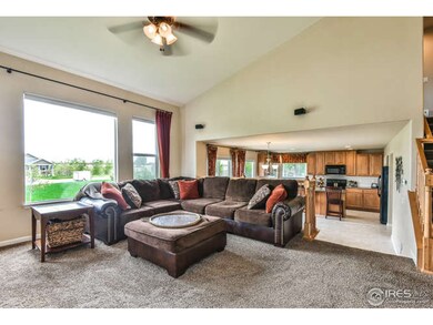 Great Open Concept