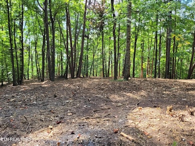 0 Lot 146 & 147 Lakeview Dr unit 1311025, Sharps Chapel, TN 37866 - photo 2