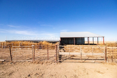 0 523 9 Acres County Road 14, Panhandle, TX 79068 - photo 5