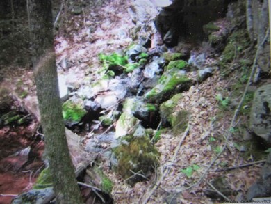 178 Overlook Dr, Hunter, NY 12442 - photo 3