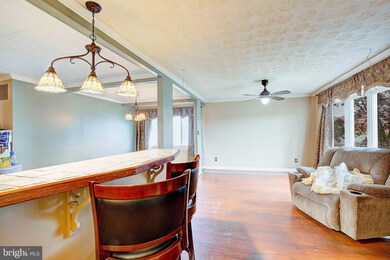 8526 Jenkins Rd, Pasadena, MD 21122 - photo 7