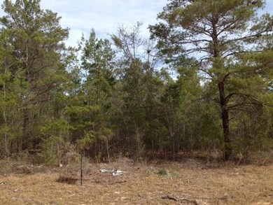 .23 Acre Wooded Lot