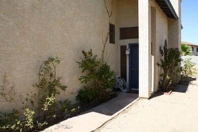 3_front walk_IMG_1517