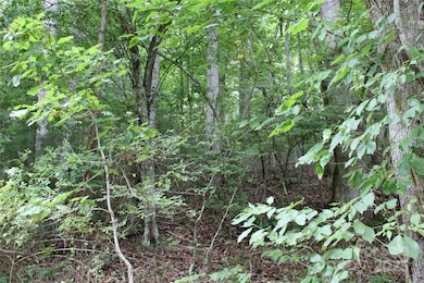 Lot 2 Lunsford Ln, Marshall, NC 28753 - photo 5
