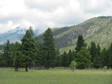 Pugh Lockett Ranches 16E 093