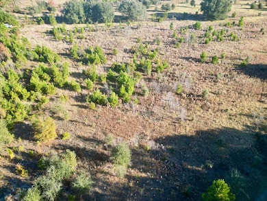 Virginia Rd unit LotWP001, Dorchester, SC 29437 - photo 5