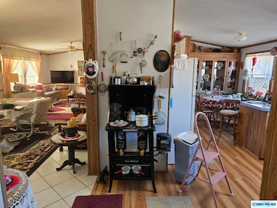 66 Flurry Ln, Silver City, NM 88061 - photo 6