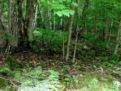 0 Bonney Rd unit 1145846, Sumner, ME 04270 - photo 7