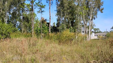 4810 30th St SW, Lehigh Acres, FL 33973 - photo 4