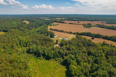 290 Leeford Ln, Cedar Grove, TN 38321 - photo 5