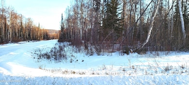 Corner Lot