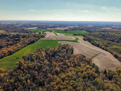 61+/-AC County Road M, Boscobel, WI 53805 - photo 6