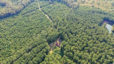 0 Powell Loop, Andrews, SC 29510 - photo 3