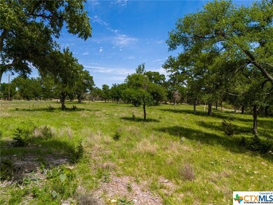 TBD Cottonwood Mesa Dr, Kempner, TX 76539 - photo 7