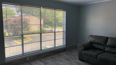 Floor to ceiling windows; so much natural light.