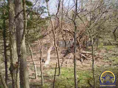 8020 SW 85th St, Auburn, KS 66402 - photo 6