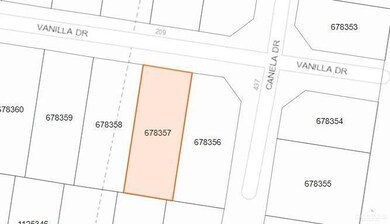 209 Vanilla Dr, Alamo, TX 78516 - photo 2