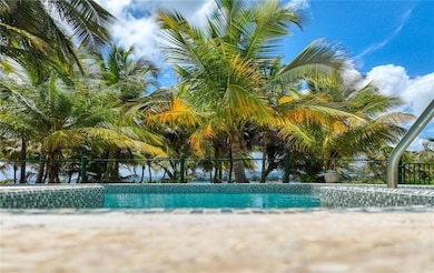 6 Camino Las Picuas, Rio Grande, PR 00745 - photo 7