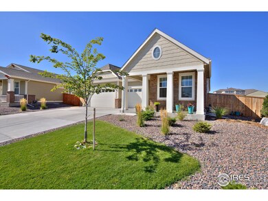 14345 Forest St, Thornton, CO 80602 - photo 3