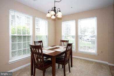 4406 Silverbrook Ln unit J101, Owings Mills, MD 21117 - photo 7