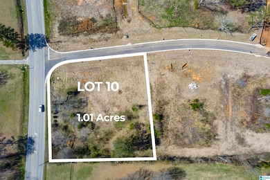 120 Bishop Creek Ln, Birmingham, AL 35242 - photo 2