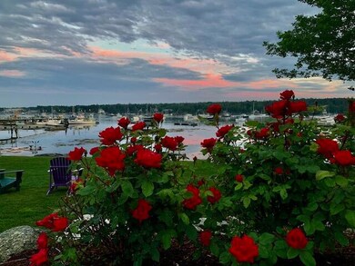 132 Clark Point Rd. roses