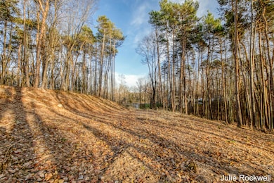 3669 Buttrick Ave SE, Forest Hills, MI 49301 - photo 3