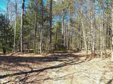 265-28 & 16-28 Upper Straw Rd, Hopkinton, NH 03229 - photo 4