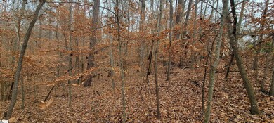 00 Gum Ct, Westminster, SC 29693 - photo 5