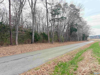 32 Acres Hogan Rd, Falkville, AL 35622 - photo 6