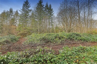 31 58th Ave NW, Stanwood, WA 98292 - photo 4