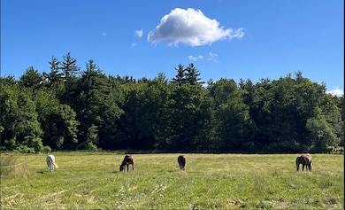 372 Webster Hwy, Temple, NH 03084 - photo 2