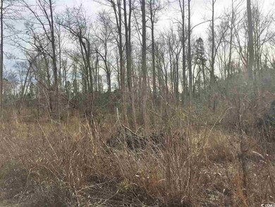 1028 Merritt Rd unit 1016 Merritt Road, Conway, SC 29526 - photo 3