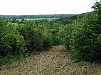 Lane thru trees