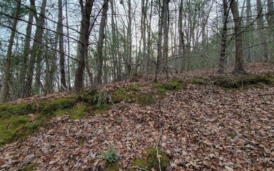 Additional View