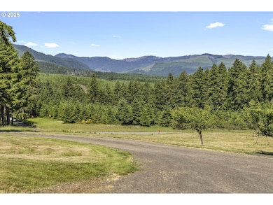 20766 NW Fairdale Rd, Yamhill, OR 97148 - photo 5