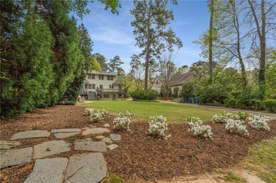 View of back yard