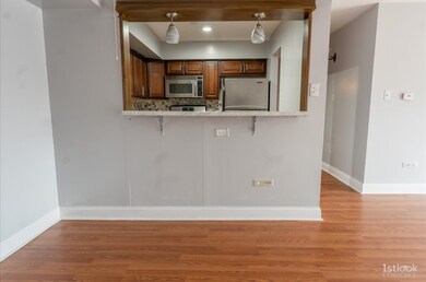 3237 S Manor Dr unit 314, Lansing, IL 60438 - photo 6