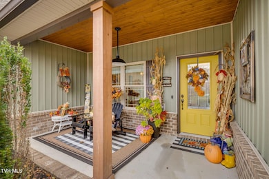 818 Hales Chapel Rd, Johnson City, TN 37615 - photo 4