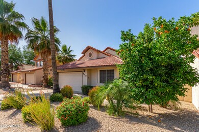 448 E Taro Ln, Phoenix, AZ 85024 - photo 3