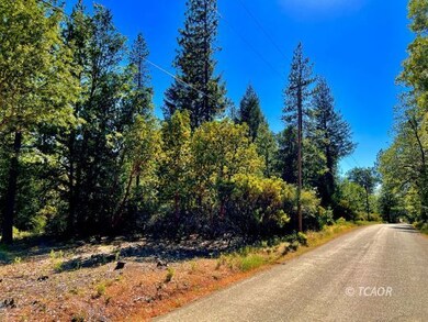 291 Oliva Dr, Hayfork, CA 96041 - photo 3