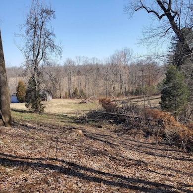 530 Askin Rd, Fordsville, KY 42343 - photo 2