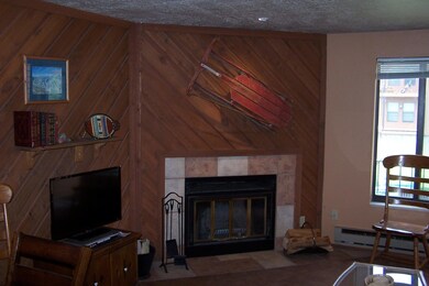 Timberbrook Village Condos unit TBV b214, Brian Head, UT 84719 - photo 2