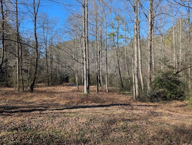 940 Fowler Rd, Ellijay, GA 30536 - photo 2