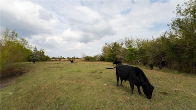4645 Fm 2679 Rd, Burton, TX 77835 - photo 5